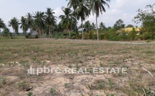 Land for Sale in Marbprachan, PBRE Thailand Property