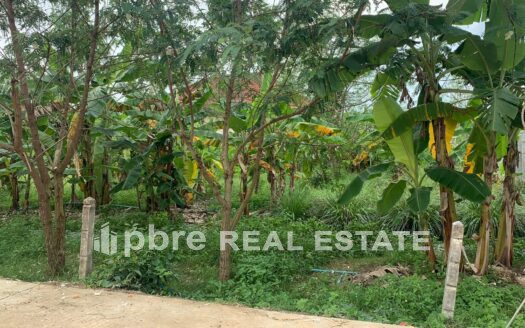 Great location Land for Sale in Bangsaray, PBRE Thailand Property