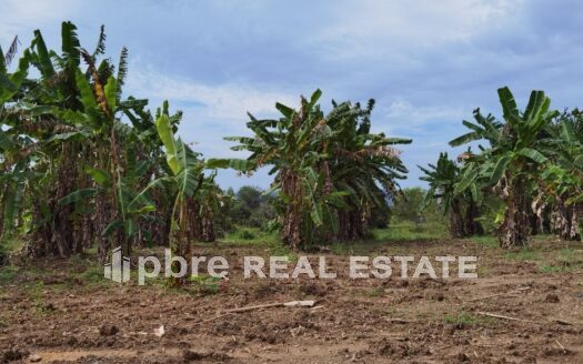 Beautiful Land for Sale in Bang Saray, PBRE Thailand Property